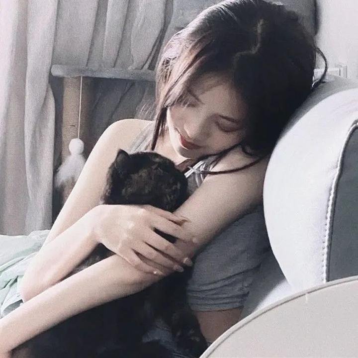理性和感性